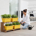 GoHooked yellow rectangular plastic plant pots set of 4 on wooden stand with herbs and basil, woman tending plants.