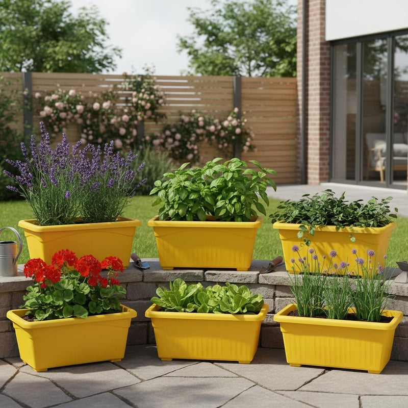 Set of 6 Go Hooked yellow rectangular plastic plant pots, each holding different plants like lavender, basil, and geraniums.
