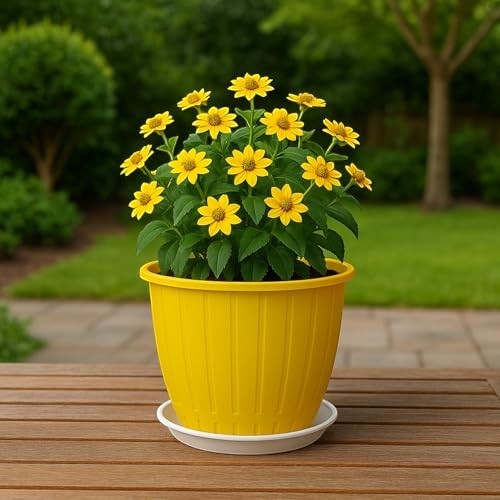 GoHooked yellow 8-inch plastic planter with a white drip tray, holding a plant with yellow flowers.