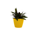 GoHooked yellow plastic planter pot with a textured knit design, 5.5 inch diameter, ideal for indoor or outdoor plants.
