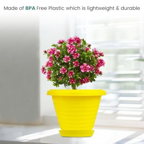 Go Hooked yellow plastic planter pot with saucer, 6 inch, modern design, for indoor/outdoor plants.