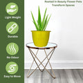 GoHooked yellow 8-inch plastic planter pot with aloe vera plant on a modern side table.