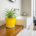 GoHooked yellow 8-inch plastic planter pot with fluted design and matching saucer, holding a spider plant.