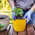 GoHooked yellow 8-inch plastic planter pot with ribbed design, perfect for indoor/outdoor gardening. Includes tray.