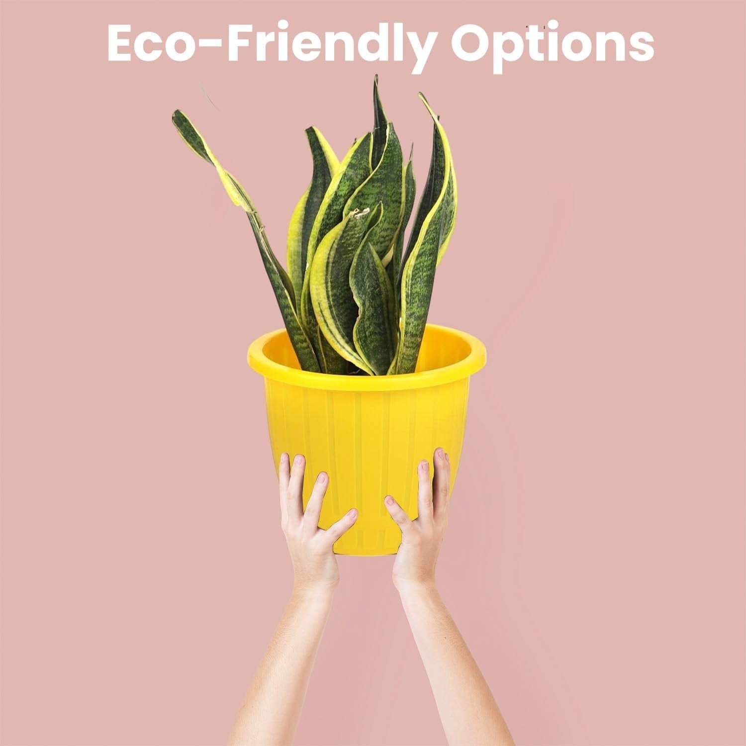 GoHooked yellow plastic planter pot with snake plant, 9-inch diameter, 7.5-inch height, 2 pieces