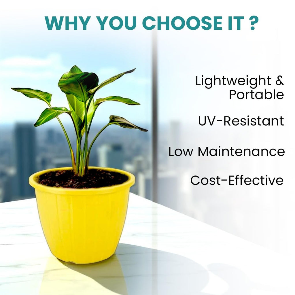 GoHooked yellow plastic planter pot with a plant, 9-inch diameter, 7.5-inch height, lightweight, UV-resistant, low maintenance.