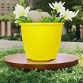 GoHooked yellow plastic planter pot with white flowers and green leaves, 9-inch diameter.