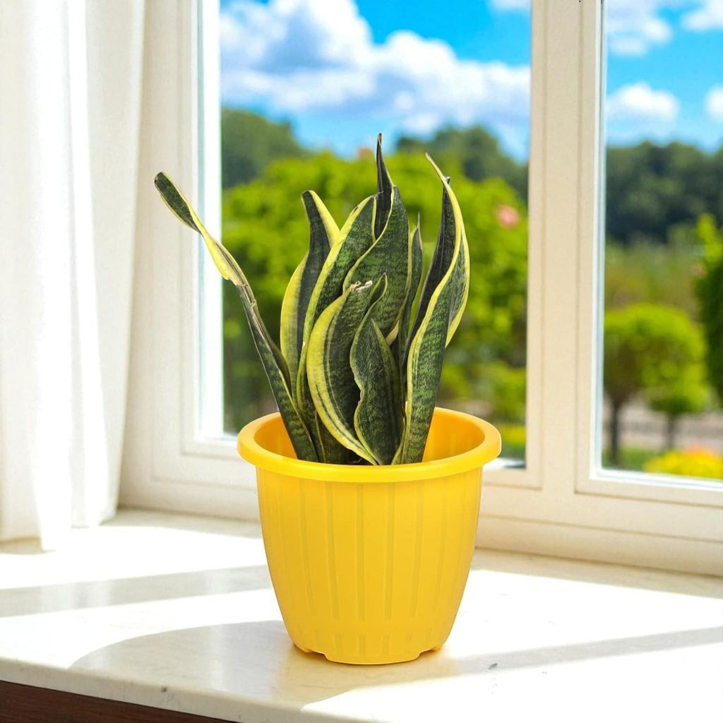 GoHooked yellow plastic planter pot with ribbed texture, 9-inch diameter, suitable for indoor or outdoor use.