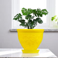 Go Hooked yellow plastic planter pot with embossed floral design and matching saucer, holding a monstera plant.