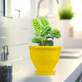 Go Hooked yellow plastic planter pot with embossed floral design and matching saucer, holding a green plant.