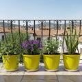 GoHooked yellow 8-inch plastic planters with trays, holding various plants on a balcony.