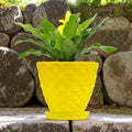 Go Hooked yellow diamond-patterned plastic planter pot with saucer, 6 inch, for indoor/outdoor plants.