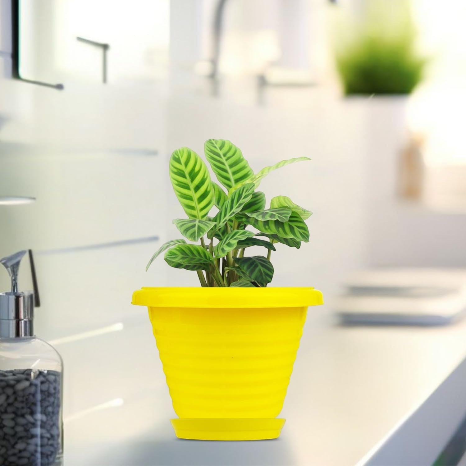 Go Hooked yellow plastic planter pot with saucer, 6 inch, modern design, for indoor/outdoor plants.