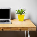 Go Hooked yellow plastic planter pot with textured diamond pattern and matching saucer, holding a green plant on a wooden desk next to a laptop.