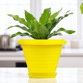 Go Hooked yellow plastic planter pot with saucer tray, 6 inch Zenith model, modern design for indoor/outdoor plants.