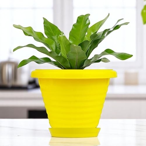 Go Hooked yellow plastic planter pot with saucer tray, 6 inch Zenith model, modern design for indoor/outdoor plants.