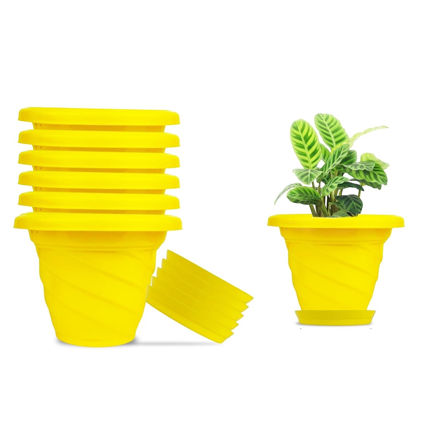 GoHooked set of 6 yellow plastic planter pots with saucers, one pot with a plant. Modern design.