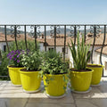 GoHooked yellow 8-inch plastic planters with trays, set of 5, ideal for indoor/outdoor gardening.