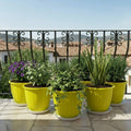 GoHooked yellow 8-inch plastic planters with white trays, holding various plants on a balcony.