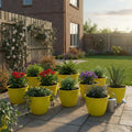 Go Hooked yellow 10-inch plastic planters filled with various plants on a patio.