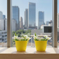 GoHooked yellow plastic planters with white flowers, set of 2, for indoor or outdoor use.