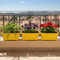 GoHooked Set of 3 yellow rectangular plastic planters with plants on a balcony railing.