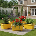 Go Hooked set of 5 yellow rectangular plastic planters with red flowers, pink roses, lavender, and basil.