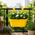 GoHooked yellow plastic railing planter with white flowers, ideal for balconies and fences.
