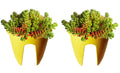 GoHooked yellow plastic railing planters (12 inch, set of 2) holding succulent plants.