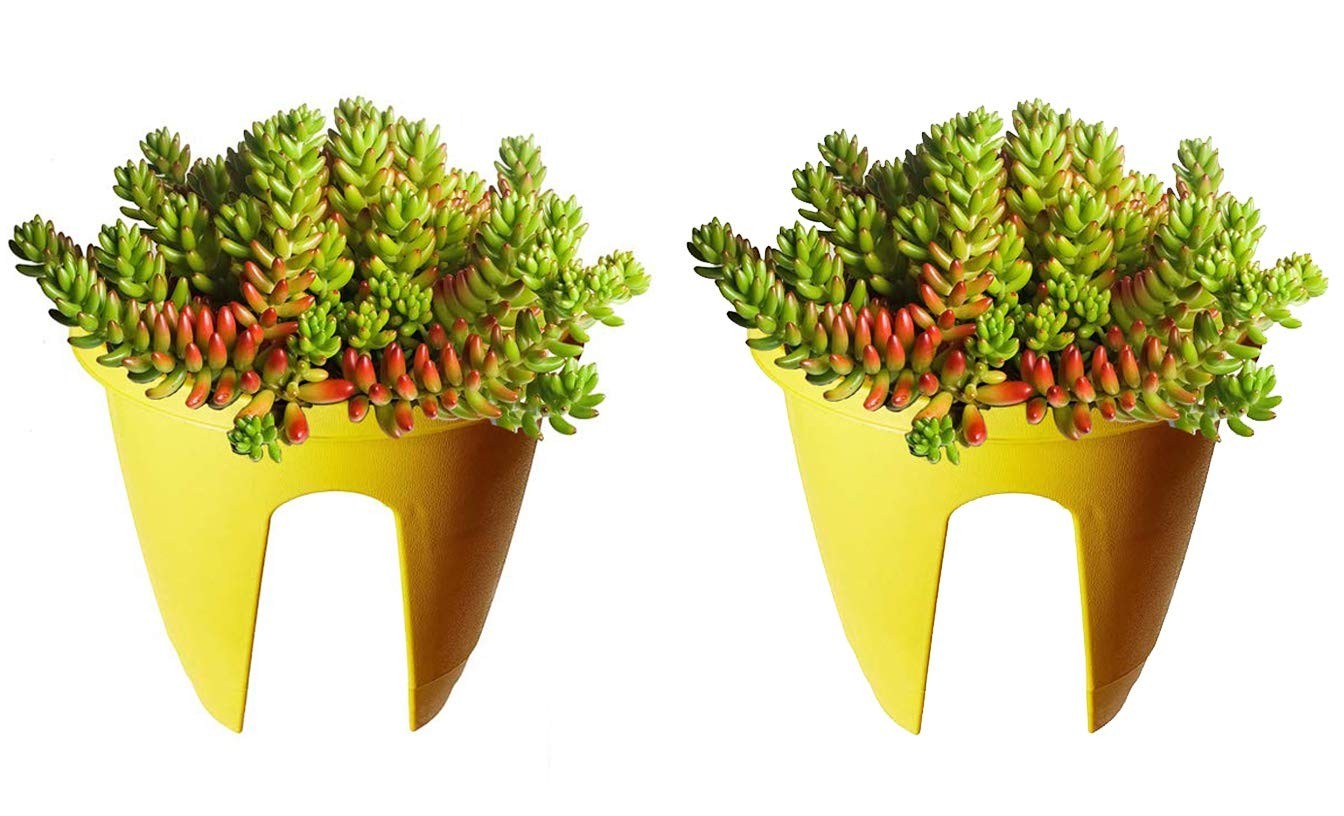 GoHooked yellow plastic railing planters (12 inch, set of 2) holding succulent plants.