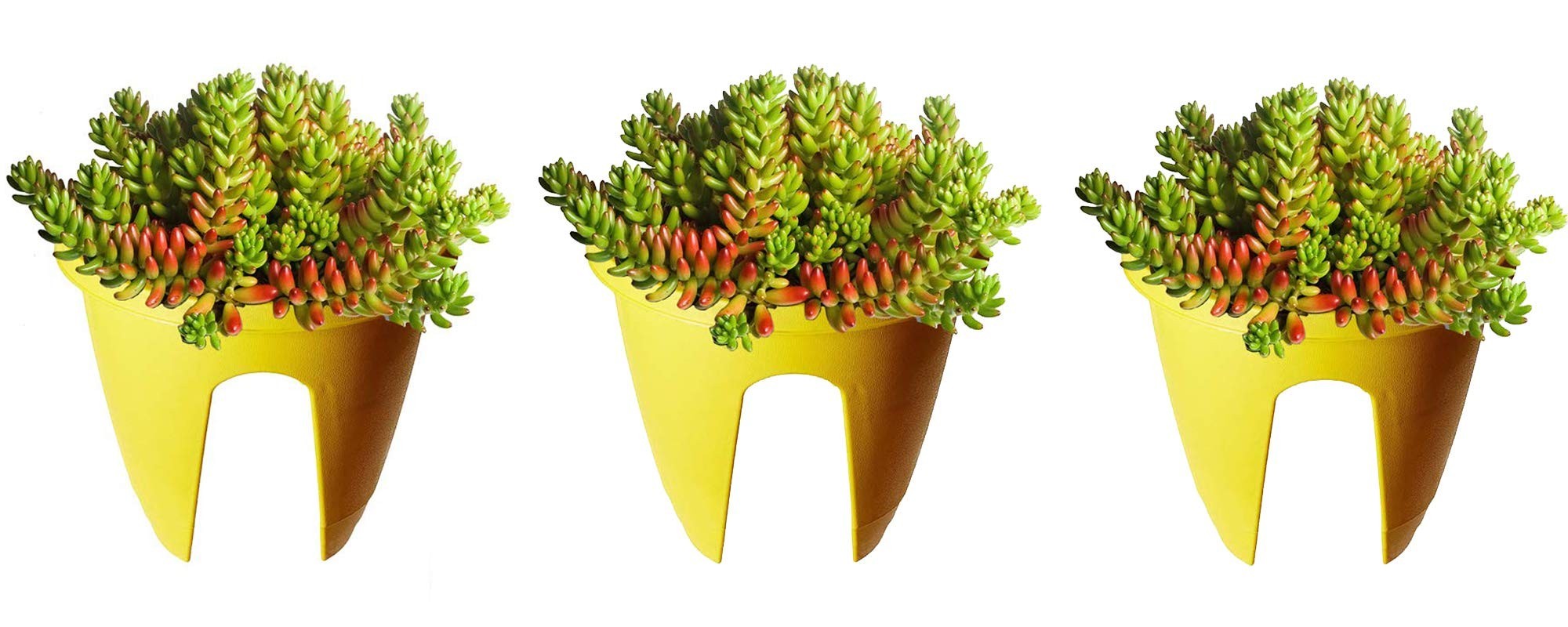 GoHooked yellow plastic railing planters, 12 inch set of 3, holding succulents.
