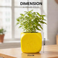 GoHooked yellow plastic Tulsi plant pot with Hindu religious symbols, 17.5 cm square, lightweight and durable.