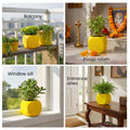 GoHooked yellow square plastic Tulsi plant pot with Hindu symbols, perfect for home or pooja room.