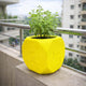 Go Hooked Premium Plastic Tulsi Plant Pot for Home & Pooja Room | 17.5 cm Square Designer Planter with Hindu Religious Symbols | Lightweight & Durable Indoor Outdoor Flower Pot (Yellow)