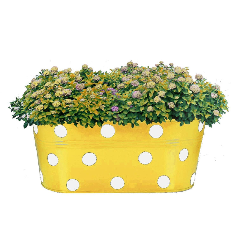 GoHooked yellow metal oval hanging planter with white polka dots, 12 inch, filled with flowering plants.