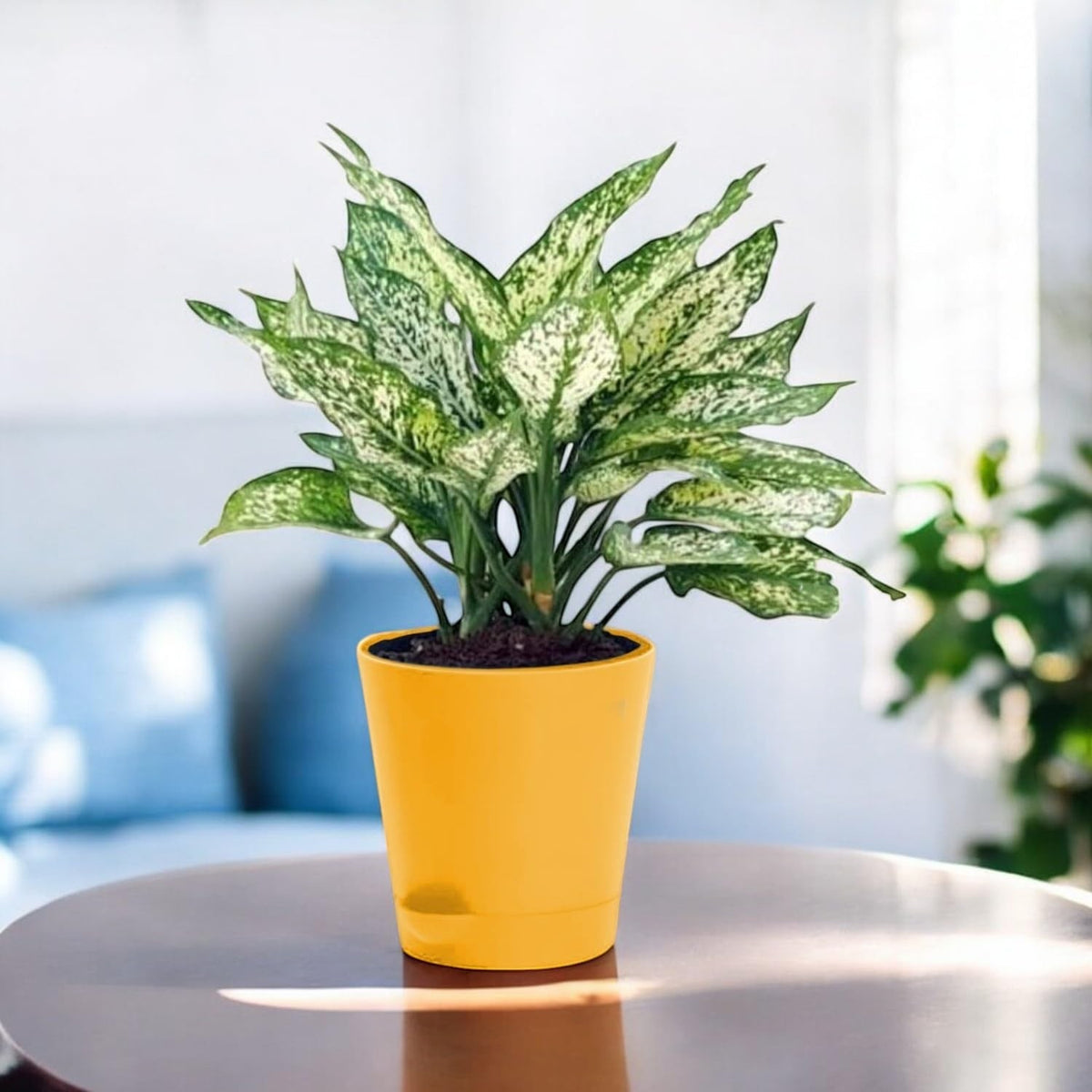 GoHooked yellow 4-inch self-watering plastic planter pot with UV protection, ideal for indoor and outdoor gardening.