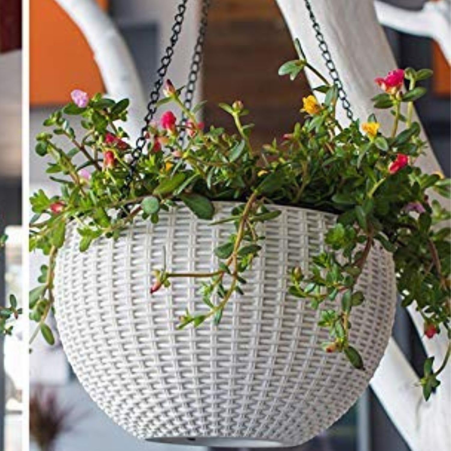 GoHookedHere white plastic hanging pot with woven texture, 7.1 inch diameter, holding flowering plants.