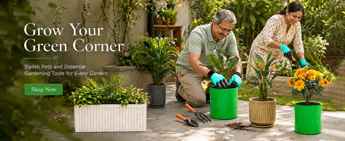 Lawn & Garden