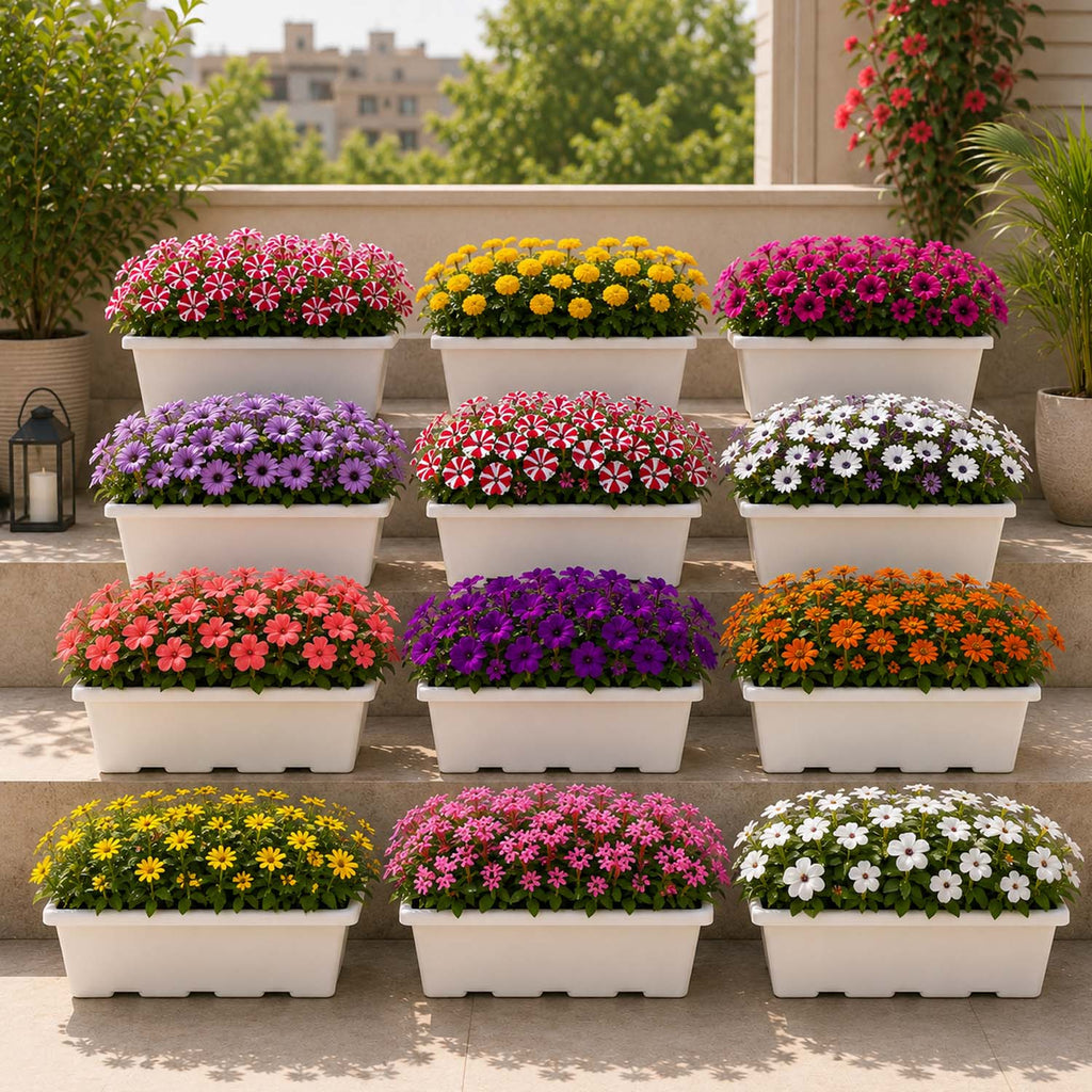 Go Hooked Jupiter Window Planter Pot Pack of 12 | 17 Inch White Plastic Rectangular Flower Planter for Indoor Outdoor Plants Balcony Garden Home Décor | Decorative Plant Container L43 x W22 x H18 Cm