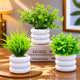 Bianco Artificial Mini Plant (3 Pack)| Small Faux Plants Home & Office Decor, Living Room, Bedroom, Tabletop & Shelves | Small Potted Plants | Stylish Round Pot