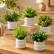 Bianco Artificial Mini Plant (5 Pack) | Small Faux Plants Home & Office Decor, Living Room, Bedroom, Tabletop & Shelves | Small Potted Plants | Stylish Round Pot