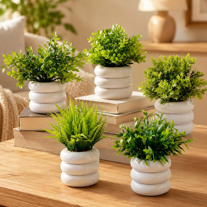 Bianco Artificial Mini Plant (5 Pack) | Small Faux Plants Home & Office Decor, Living Room, Bedroom, Tabletop & Shelves | Small Potted Plants | Stylish Round Pot