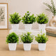 Go Hooked Artificial Plants Small, Mini Artificial Plants Indoor for Home Farmhouse Bathroom Shelf Décor Height 17CM Green and White 6 (Design May Vary)