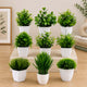 Go Hooked Artificial Plants Small, Mini Artificial Plants Indoor for Home Farmhouse Bathroom Shelf Décor Height 17CM Green and White 9 (Design May Vary)